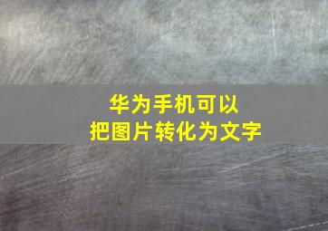 华为手机可以 把图片转化为文字